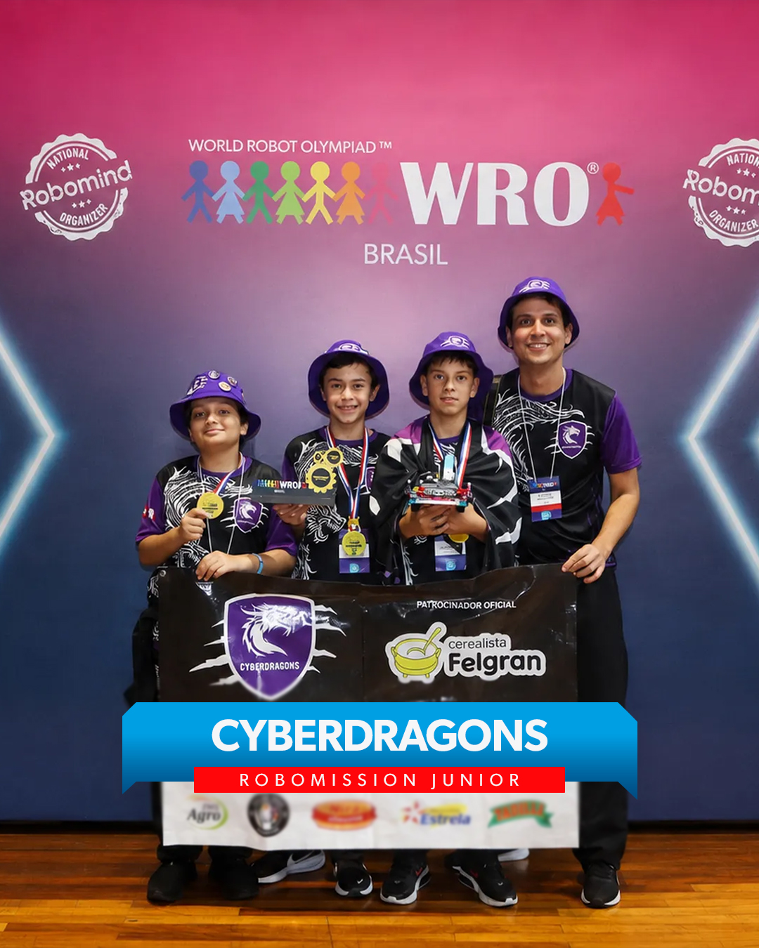 Cyberdragons - RoboMission Junior